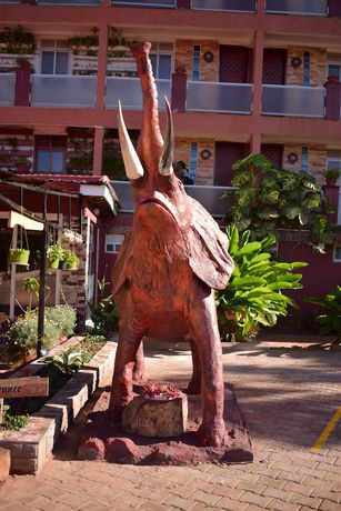 Imagen general del Hotel African Tribe. Foto 5