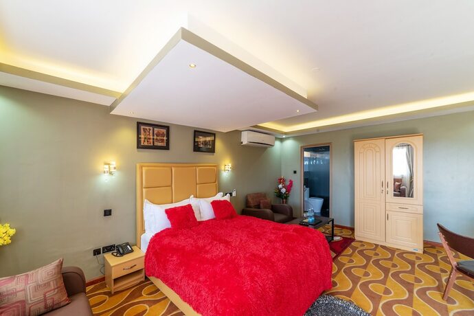 Imagen de la habitación del Hotel Afro Park and Health Club. Foto 15