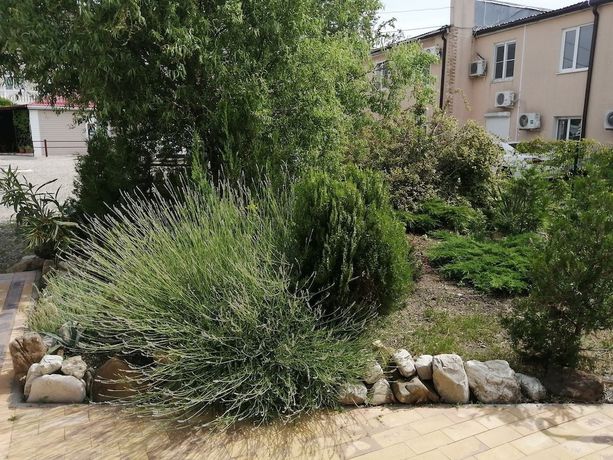 Imagen de los exteriores del Hotel Afrodita. Foto 15