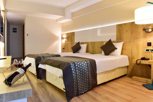 Imagen de la habitación del Hotel Agaoglu Otel. Foto 2