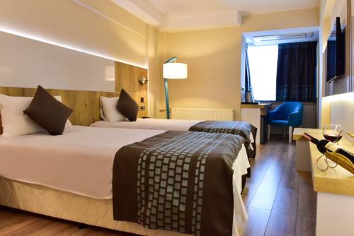 Imagen de la habitación del Hotel Agaoglu Otel. Foto 3