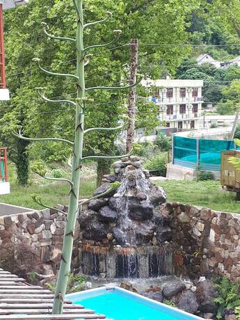 Imagen general del Hotel Agava Guest House. Foto 9