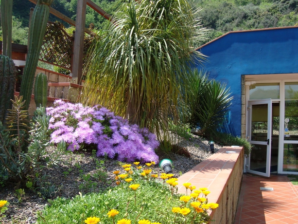 Imagen de los exteriores del Hotel Agave. Foto 13