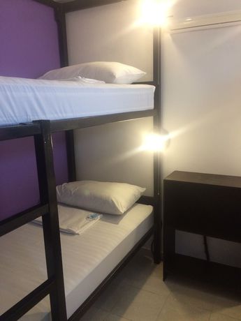 Imagen de la habitación del Hotel Agavero Hostel. Foto 9