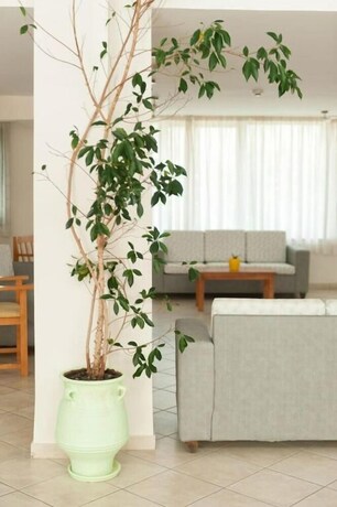 Imagen de los interiores del Hotel Ageri. Foto 30