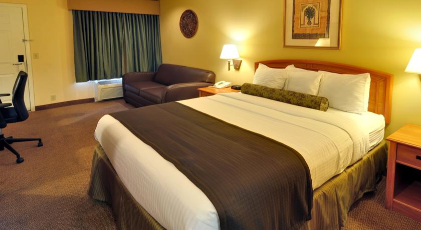 Imagen general del Hotel Aggie Inn, Ascend Collection. Foto 4