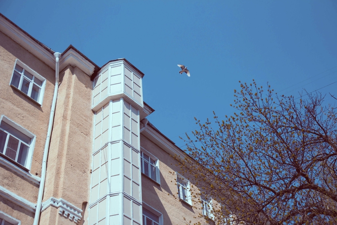 Imagen de los exteriores del Hotel Agios. Foto 15