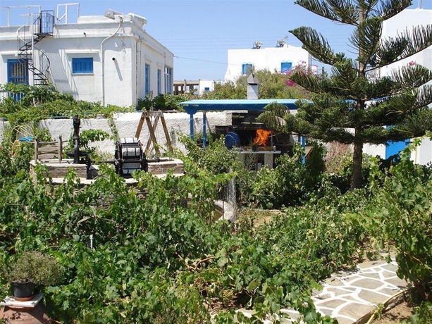 Imagen general del Hotel Agios Prokopios. Foto 8