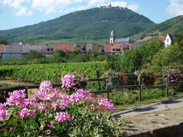 Imagen general del Hotel À La Vignette. Foto 6