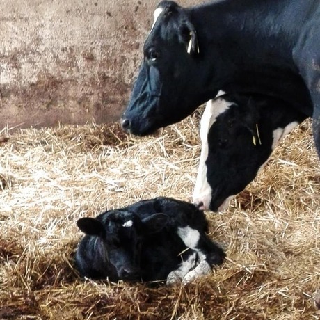 Imagen general del Hotel Agriturismo Casa Fibbianello. Foto 11