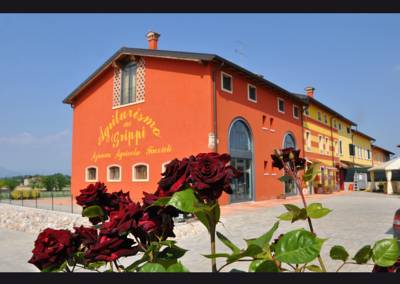 Imagen general del Hotel Agriturismo Dei Grippi. Foto 5