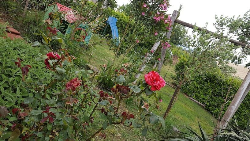 Imagen general del Hotel Agriturismo Il Giogo. Foto 2
