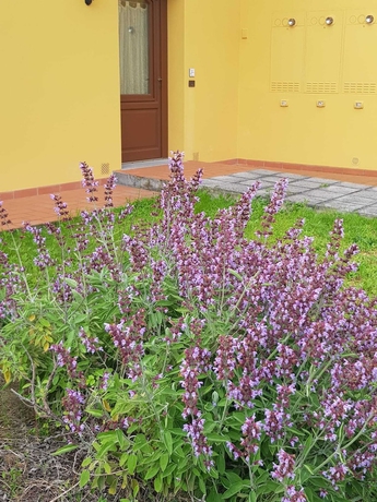 Imagen de la habitación del Hotel Agriturismo Podere Casalone. Foto 16