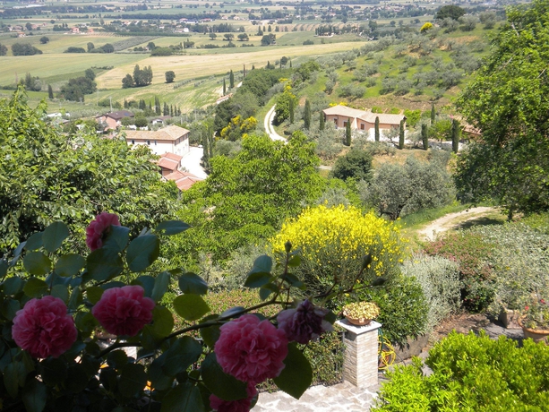 Imagen general del Hotel Agriturismo Poggio Degli Olivi - Guest House. Foto 2