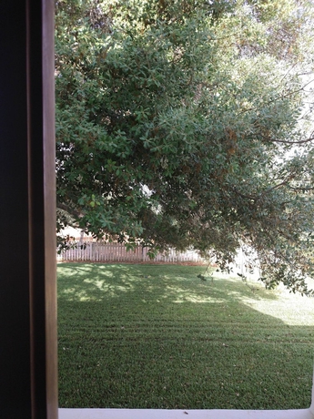 Imagen de la habitación del Hotel Agroturismo Sa Vinya D'en Palerm. Foto 16