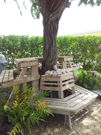 Imagen de los exteriores del Hotel Agua Clara Eco Suites. Foto 5