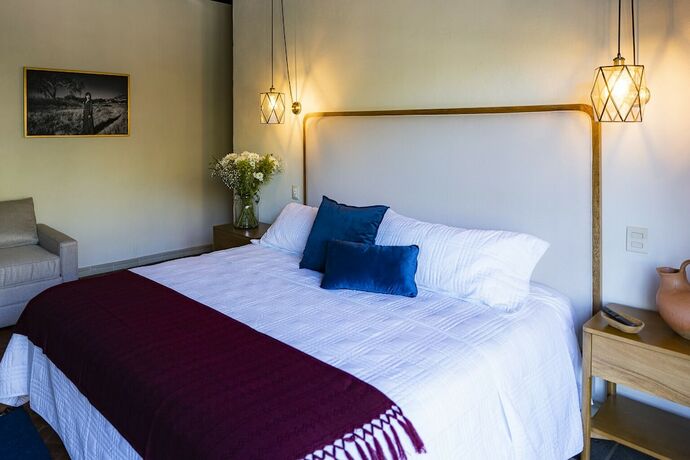 Imagen de la habitación del Hotel Agua Santa Boutique. Foto 14