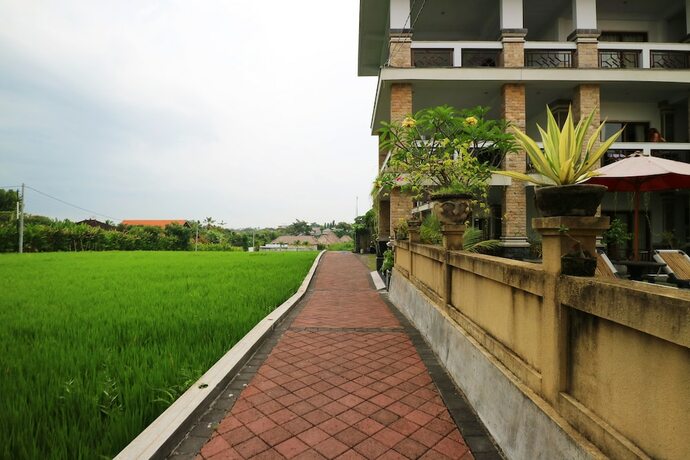 Imagen general del Hotel Agung Homestay Canggu. Foto 16