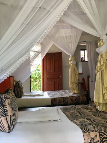 Imagen de la habitación del Hotel Ahadi Lodge. Foto 9