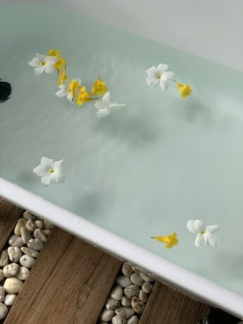 Imagen de la habitación del Hotel Ahana Resort El Nido. Foto 35