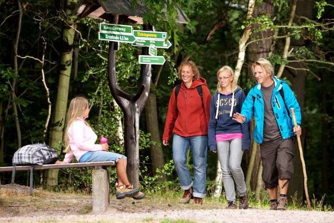 Imagen de la piscina del Hotel Ahorn Berghotel Friedrichroda. Foto 15