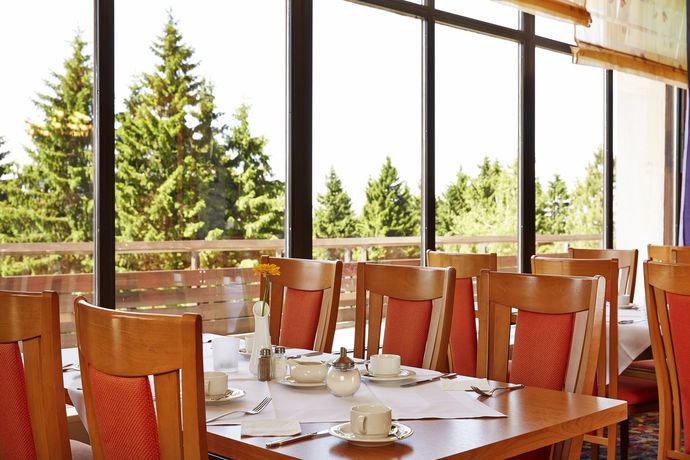 Imagen de la piscina del Hotel Ahorn Panorama Oberhof. Foto 16