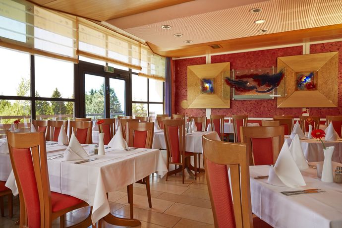 Imagen de los interiores del Hotel Ahorn Panorama Oberhof. Foto 11