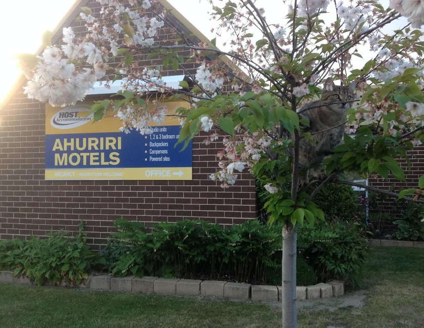 Imagen general del Hotel Ahuriri Motels, Omarama. Foto 17