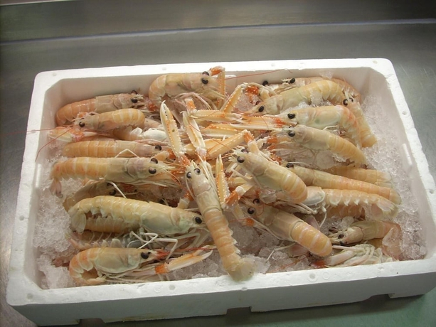 Imagen del bar/restaurante del Hotel Ai Campi Di Marcello. Foto 5