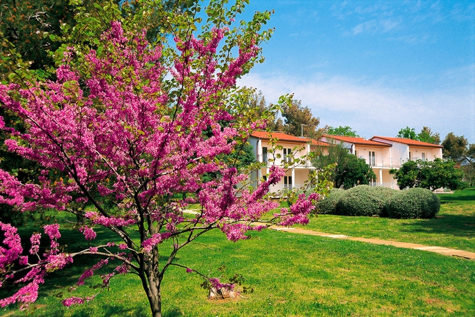 Imagen de los exteriores del Hotel Ai Pini Medulin Resort. Foto 8