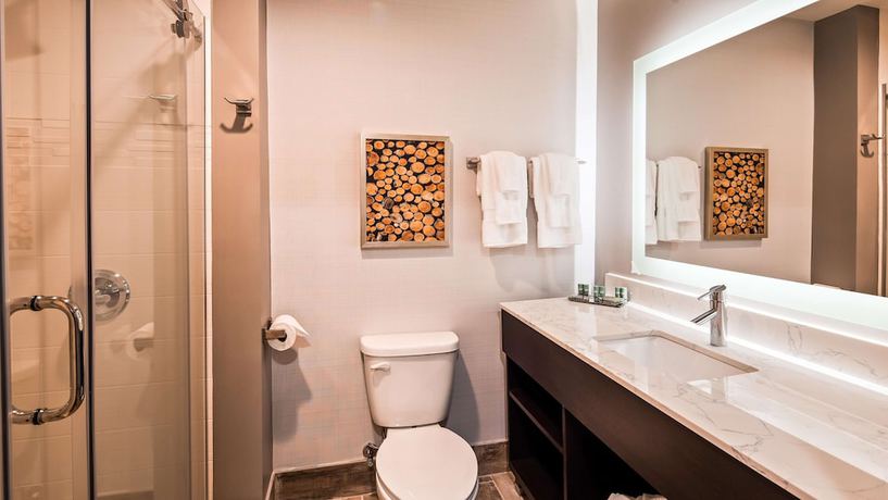 Imagen de la habitación del Hotel Aiden By Best Western @ Warm Springs and Event Center. Foto 5