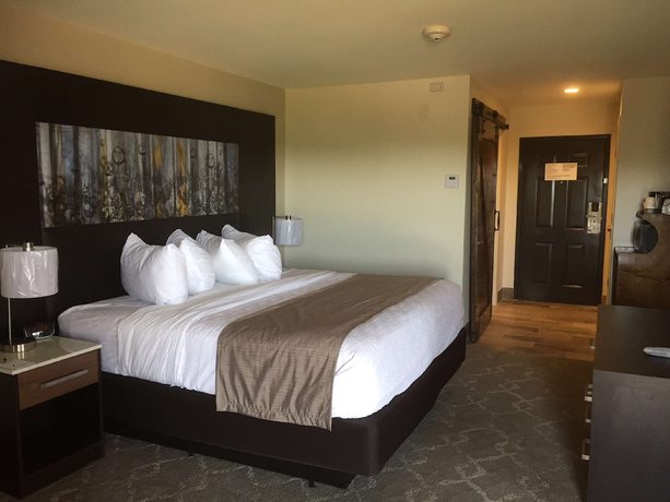 Imagen de la habitación del Hotel Aiden By Best Western @ Warm Springs and Event Center. Foto 6