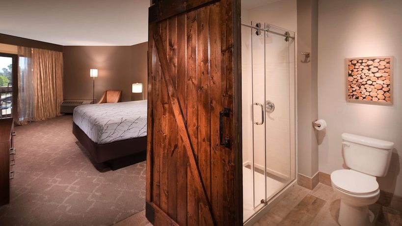 Imagen de la habitación del Hotel Aiden By Best Western @ Warm Springs and Event Center. Foto 12