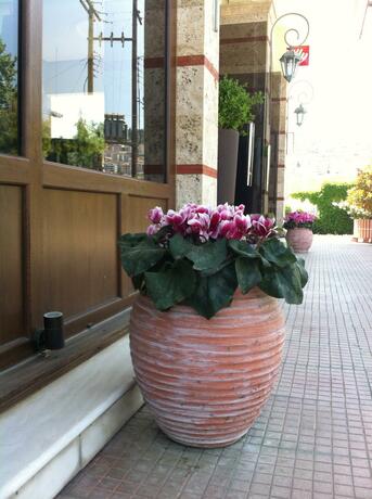 Imagen general del Hotel Aiges Melathron. Foto 17