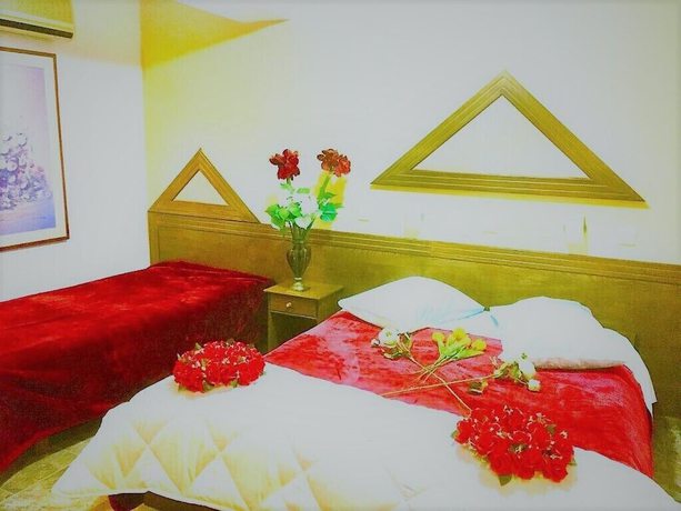 Imagen de la habitación del Hotel Aiolos, Municipal Unit of Delphi. Foto 10
