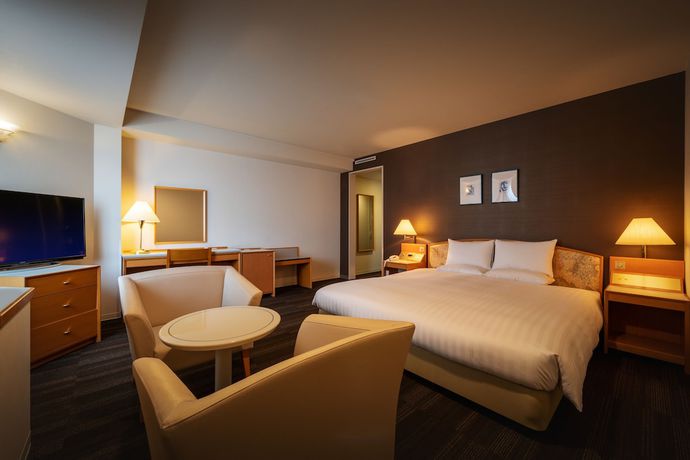 Imagen de la habitación del Hotel Air Terminal. Foto 13