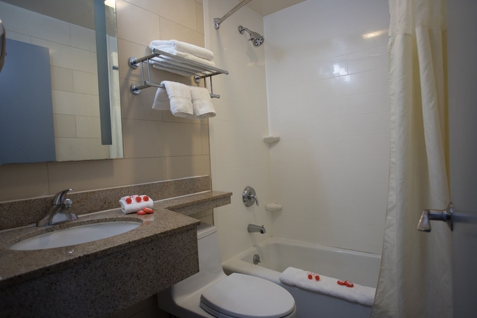 Imagen de la habitación del Hotel AirTrain Plaza Hotel JFK Airport. Foto 11