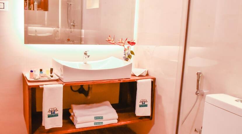 Imagen general del Hotel Airavata Boutique Resort. Foto 7