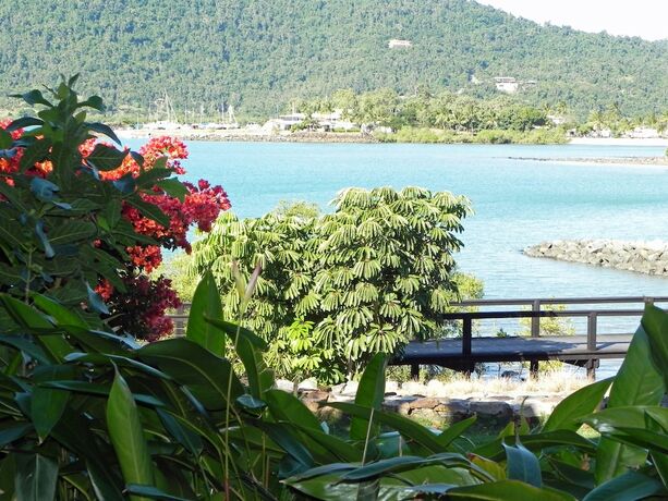 Imagen de la habitación del Hotel Airlie Waterfront Bed and Breakfast. Foto 22