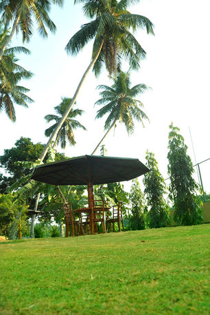 Imagen de la habitación del Hotel Airport Green View Resort. Foto 7