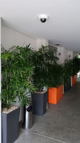 Imagen de los interiores del Hotel Airport Heritage Motel. Foto 9