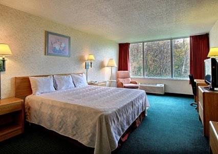 Imagen de la habitación del Hotel Airport Inn Flint. Foto 2