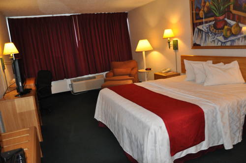 Imagen de la habitación del Hotel Airport Inn Flint. Foto 3