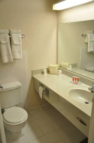 Imagen de la habitación del Hotel Airport Inn Flint. Foto 6