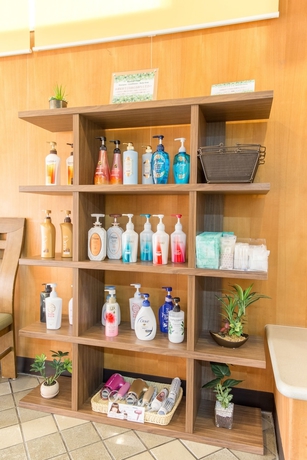 Imagen de los interiores del Hotel Airport Komatsu. Foto 17