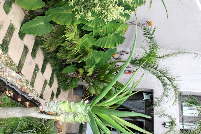 Imagen de los exteriores del Hotel Airport Lodge Guest House. Foto 17