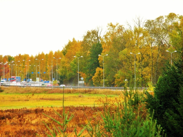 Imagen general del Hotel Airport Mara. Foto 2