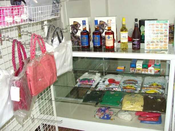 Imagen general del Hotel Airport Poddotel. Foto 9