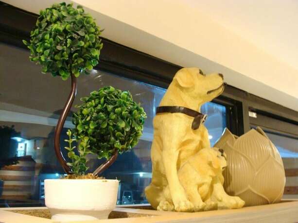 Imagen general del Hotel Airport Poddotel. Foto 13