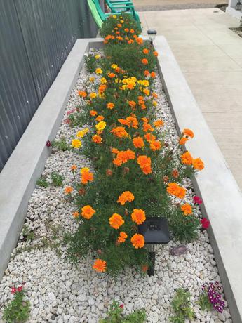 Imagen de los interiores del Hotel Airport X Managua. Foto 6